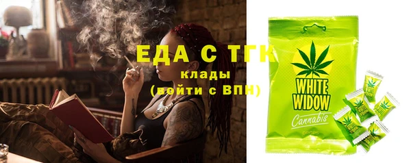 эйфоретик Покачи
