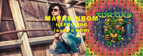 эйфоретик Покачи