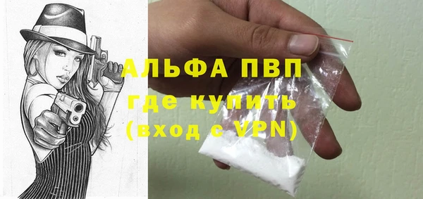 эйфоретик Покачи