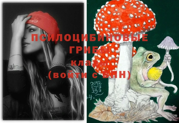эйфоретик Покачи